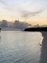 Sunset in the Maldives, a bird that looks like a heron stands on the white sand on the shores of the Indian Ocean