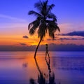 Sunset on Maldives island, luxury water villas resort, pool and palm tree. Beautiful sky and beach with palms landscape. Summer Royalty Free Stock Photo