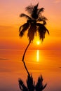 Sunset on Maldives island, luxury water villas resort and wooden pier. Beautiful sky and clouds and beach with palms background Royalty Free Stock Photo