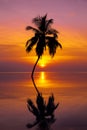 Sunset on Maldives island, luxury water villas resort and wooden pier. Beautiful sky and clouds and beach with palms background Royalty Free Stock Photo