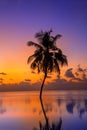 Sunset on Maldives island, luxury water villas resort and wooden pier. Beautiful sky and clouds and beach with palms background Royalty Free Stock Photo