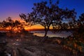 Sunset Mangrove low tide and intertidal shallows