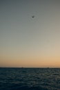 sunset maritime view. plane flying above the sea and boat sailing in the sunset Royalty Free Stock Photo