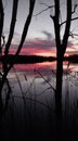 Sunset in the marsh lands Royalty Free Stock Photo