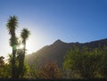 Sunset in masca village, sun against palm tree, green and red bu Royalty Free Stock Photo
