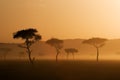 Sunset in Massai Mara Royalty Free Stock Photo