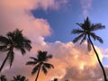 Sunset on a Maui Hawaii Beach. Nice pink clouds. Royalty Free Stock Photo