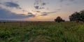 Sunset in a meadow with high thistle and autumn flowers in early autumn