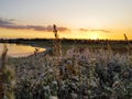 Sunset in the meadow near the estuary in early autumn. Royalty Free Stock Photo