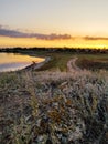 Sunset in the meadow near the estuary in early autumn. Royalty Free Stock Photo