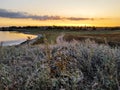 Sunset in the meadow near the estuary in early autumn. Royalty Free Stock Photo