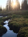Sunset meadow stream, Mount Shasta, CA Royalty Free Stock Photo