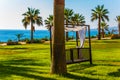 Climatic cabin in a palm grove Royalty Free Stock Photo