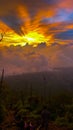 sunset on merbabuÃ¢â¬â¢s mountain Royalty Free Stock Photo