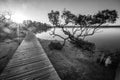 Sunset at the Merimbula Lake Boardwalk, Victoria, Australia Royalty Free Stock Photo