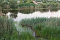 Sunset Mertvovid riverbank in Voznesensk, Ukraine.