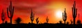 Mexico desert sunset 2 Royalty Free Stock Photo