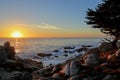 Sunset at 17-mile drive, Pebble beach, California Royalty Free Stock Photo