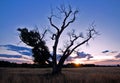 Sunset at 17 Mile Farm Park, Aurora, Colorado