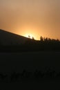 Sunset in Mingsha Shan, Dunhuang Royalty Free Stock Photo