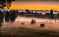Sunset and mist in a countryside Royalty Free Stock Photo
