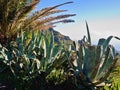 Sunset mood in the Teno Mountains near Masca on Tenerife Royalty Free Stock Photo