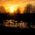 Sunset in the moorland Teufelsmoor in Germany near artist village Worpswede Royalty Free Stock Photo