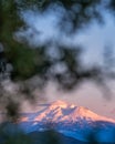 Sunset on Mount Shasta, California Royalty Free Stock Photo