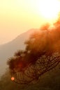 Sunset at mountain, Phu Kra Dueng, Loei Royalty Free Stock Photo