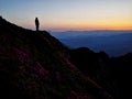 Sunset in the mountains, flowers, clouds Royalty Free Stock Photo