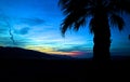 Sunset mountains palm trees Death Valley Royalty Free Stock Photo