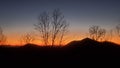 After sunset in mountian trees