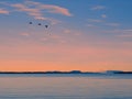 Sunset with Mt. Baker view from the shore in Sidney Royalty Free Stock Photo