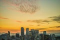 Sunset from the Nagoya TV Tower Royalty Free Stock Photo