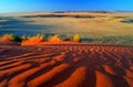 Sunset in the Namib desert, blurred landscape