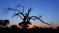 Sunset in Namibia