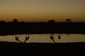 Sunset, Namibia Royalty Free Stock Photo