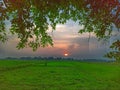 Sunset through natures window Royalty Free Stock Photo