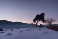 After sunset near the Dospat Dam, Bulgaria Royalty Free Stock Photo