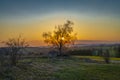 Sunset near Vysoke nad Jizerou in spring fresh color evening Royalty Free Stock Photo