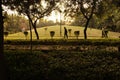 Sunset at Nehru Park, situated in the Chanakyapuri Diplomatic Enclave of New Delhi, India