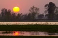 Sunset in nepali swamp, at Bardia, Nepal Royalty Free Stock Photo