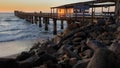 Swakopmund pier, Namibia