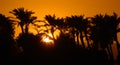 Sunset Nile river Egypt Royalty Free Stock Photo