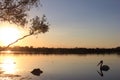 Sunset at Noosa River Royalty Free Stock Photo