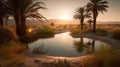 Sunset Oasis in the Desert