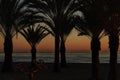 Sunset in an oasis of palm trees on the beach in southern Spain Royalty Free Stock Photo