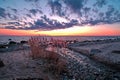 Sunset observing over baltic sea coast