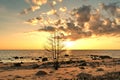 Sunset observing over baltic sea coast