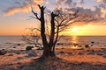 Sunset observing over baltic sea coast